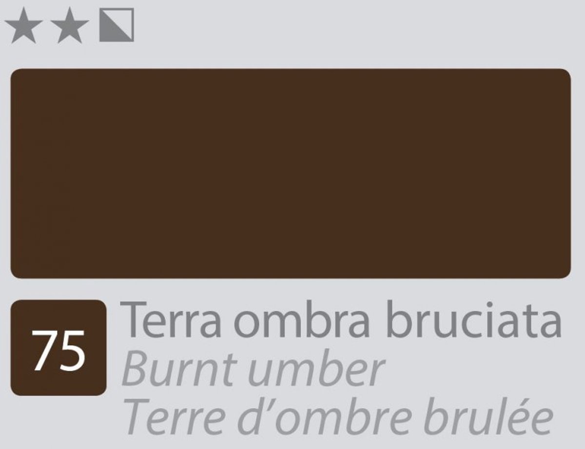 Divolo Accademia Olieverf 20 ml. - Burnt Umber