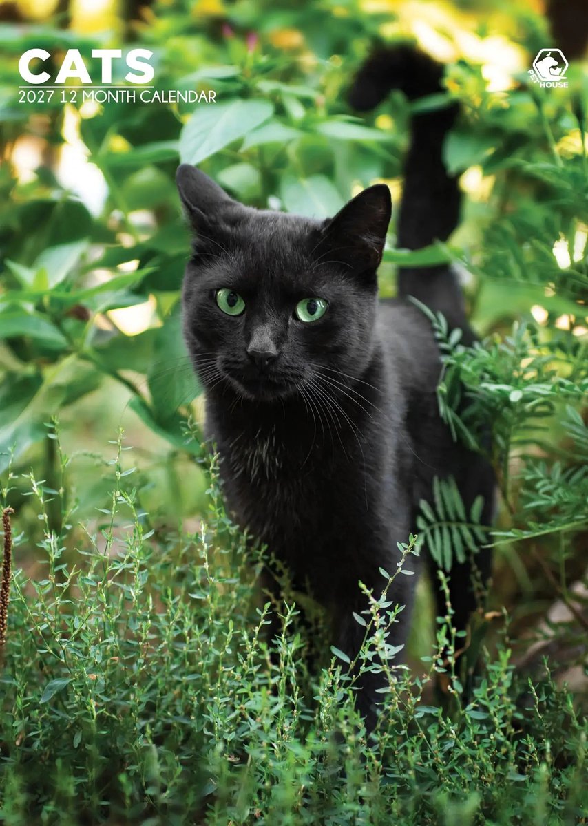 Katten A3 Kalender 2027