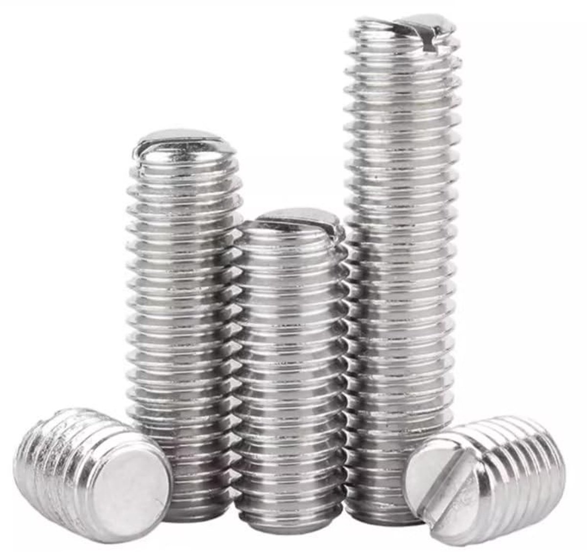 Elzusha - M8 x 10mm Slotted Draadpennen van Roestvrij Staal (5 Stuks)