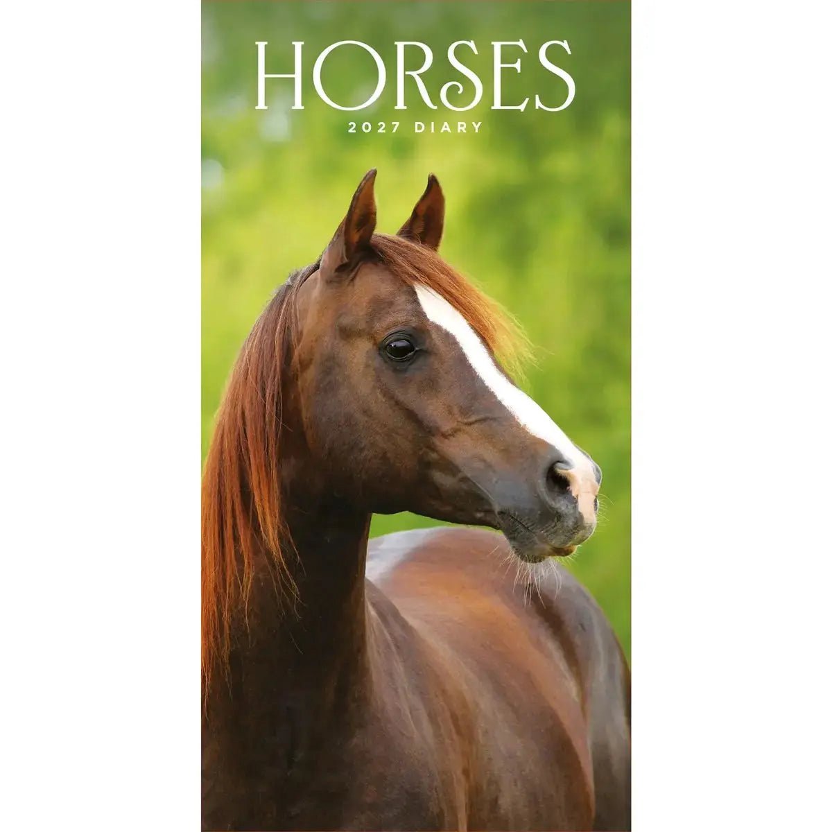 Paarden Slim Agenda 2027