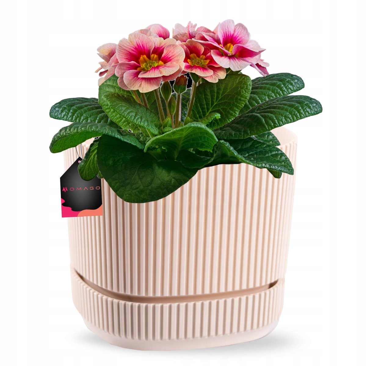Moderne Beige Balkonpot met Schotel - Stijlvol en Duurzaam
