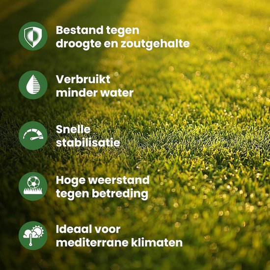 Graszaad - Gazon herstellen - Snel groen gazon - Snelgroeiende formule - 30 m² - Groen — afbeelding 4