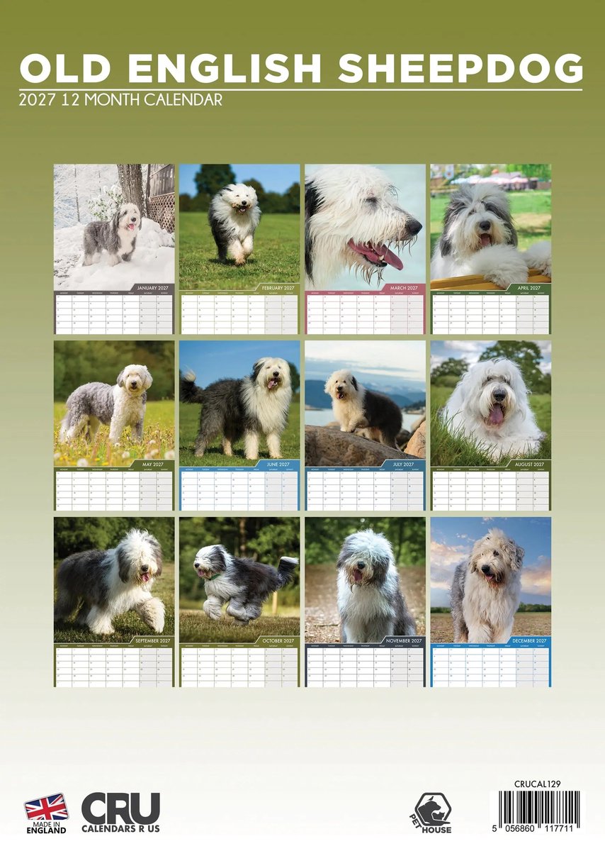 Old English Sheepdog A3 Kalender 2027