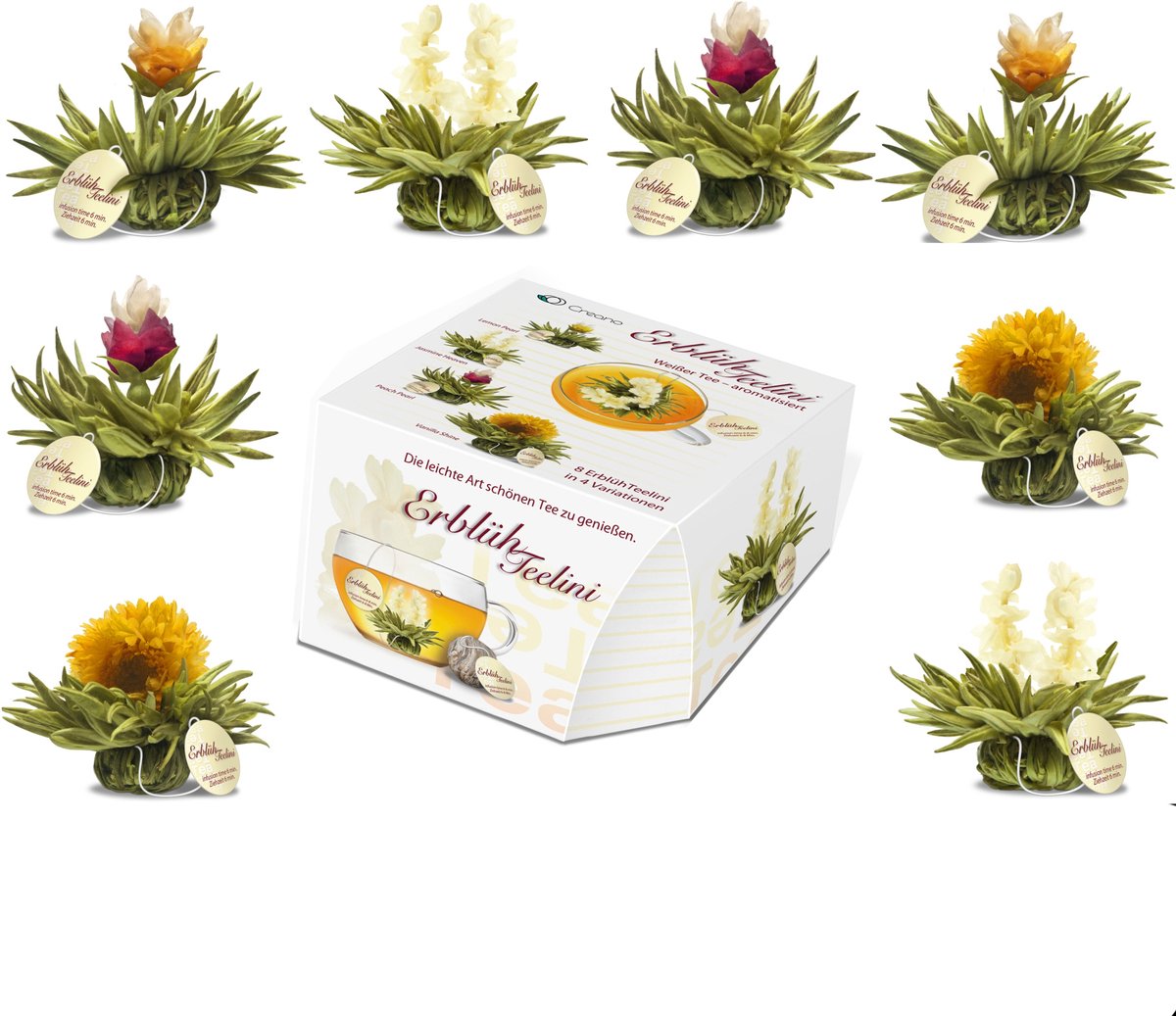 Creano theebloemvariatie in het exclusieve kopjeformaat "ErblühTeelini" - 8 theebloemen in 4 verschillende varianten (witte thee)