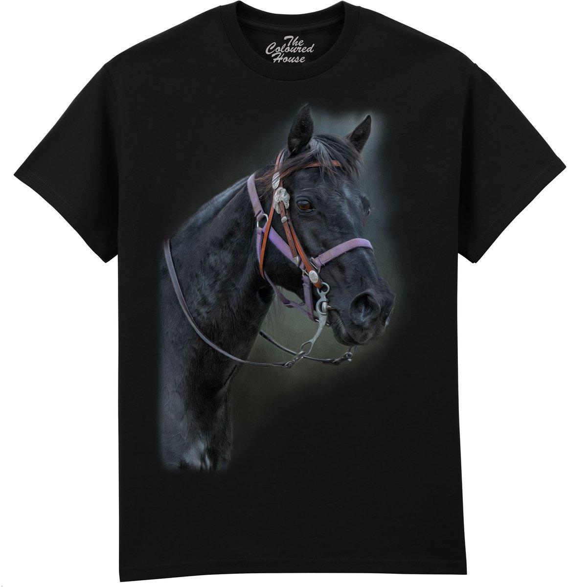 Paarden Pride Of The Pasture - Horse The Coloured House T-shirt 5XL