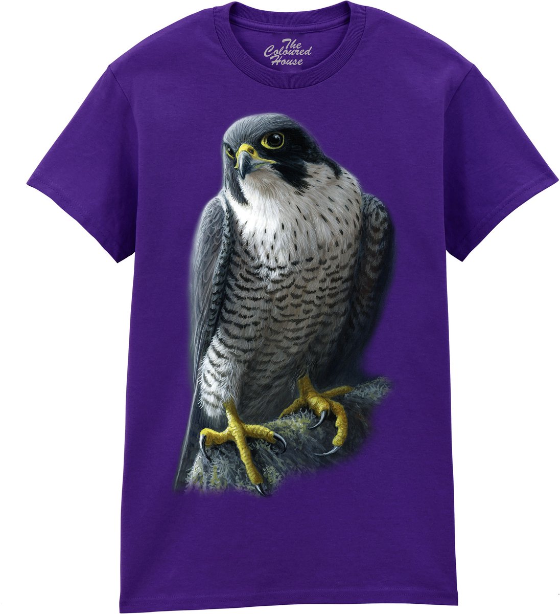 Slechtvalk Peregrine The Coloured House T-shirt 4XL