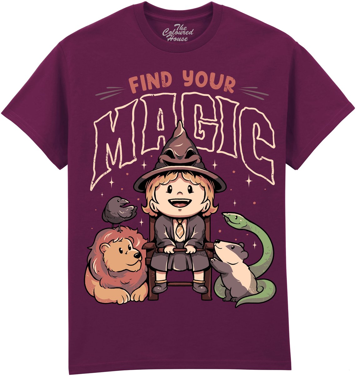 Find Your Magic The Coloured House T-shirt XL