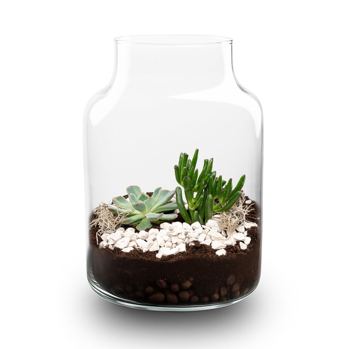Little Milky Succulent - Open terrarium - Flessentuin DIY kit - Ø 17 cm ↑ 25 cm