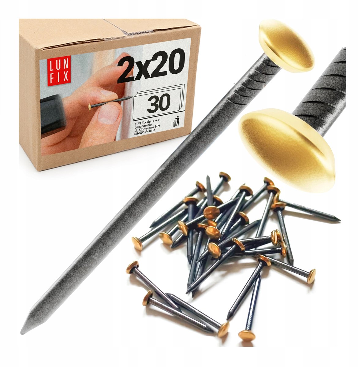 LUN FIX - Schilderij en Fotolijst Haakjes 2 x 20 mm - 30 stk. - staal Muurspijkers - Decoratieve Gouben Kop