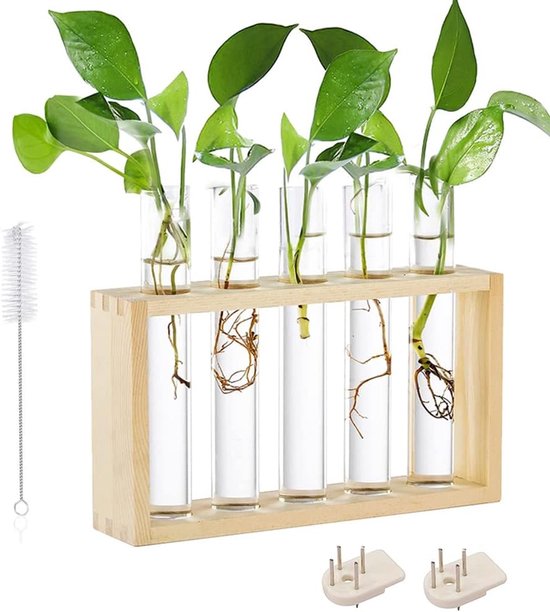 SnelShoppen - Vintage Glass Test Tube Flower Vase Propagation Station met Houten Stand voor Plant Vermeerderen, Hydroponische Planten, 5 Glazen Vazen