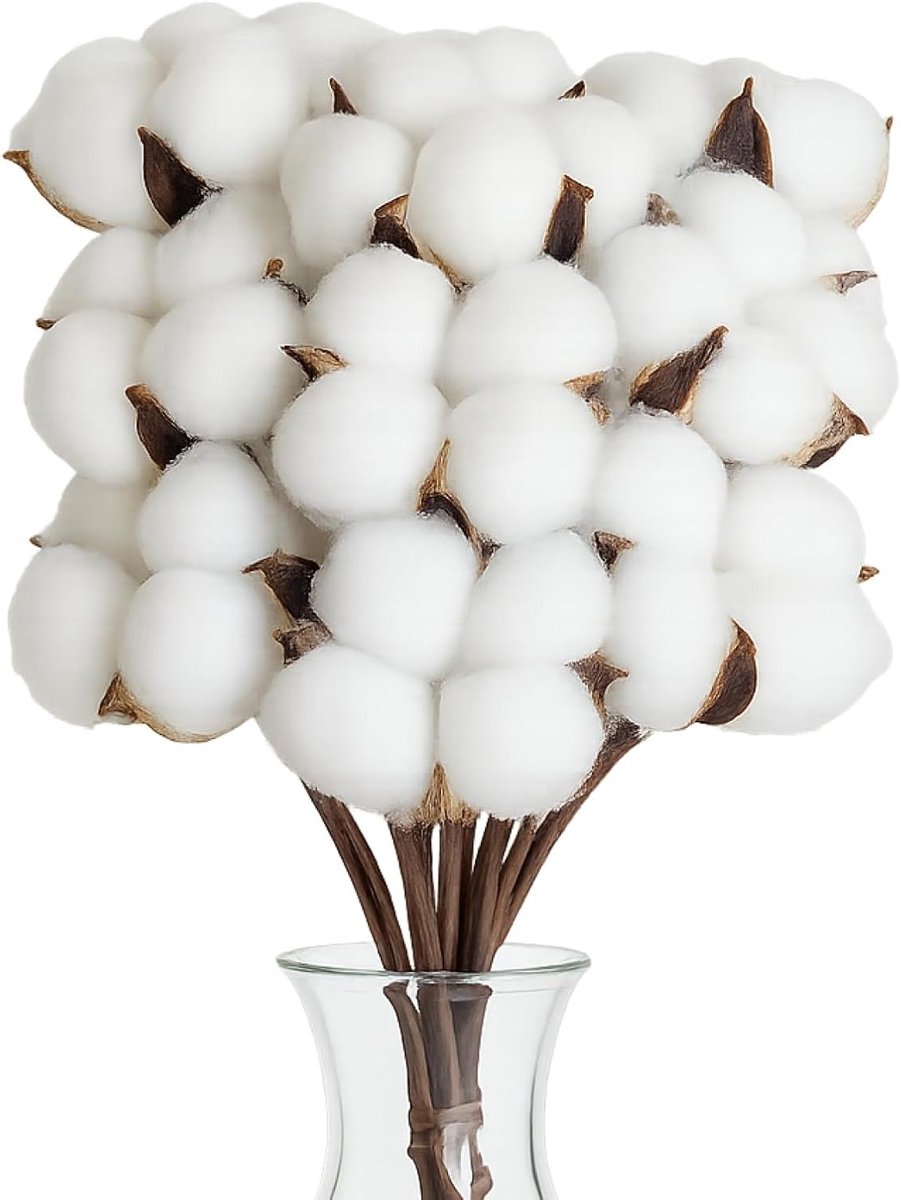 10 Stuks Gedroogde Bloemen voor Natuurlijke Decoratie, Perfect voor Bruiloften en Thuisdecoratie, DIY Bloemarrangementen en Feestversiering