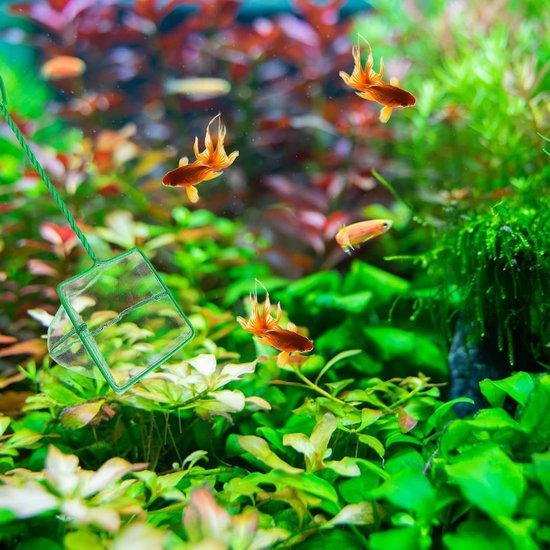 Schepnet voor aquarium, 2 stuks, groen, 15,2 cm, vierkant, ideaal voor het vangen van kleine vissen en garnalen, duurzaam kunststof handvat — afbeelding 5