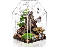 Huisvormig terrarium voor reptielen en insecten - 360° panorama faunabox voor springspinnen, gekko's en slakken
