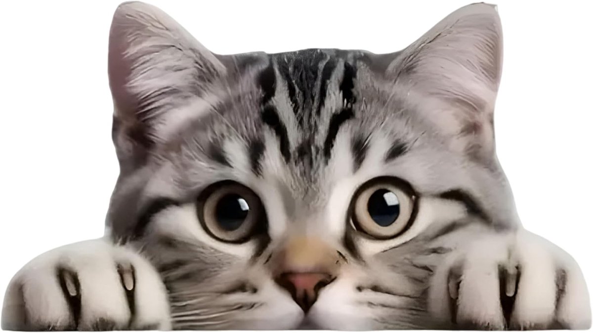 SnelShoppen - Peeping Tabby Cat 5,5 inch Autostickers - 2 Stuks Waterdichte Vinyl Bumperstickers voor Voertuigen, Laptops, Koelkasten en Koffers - Dec