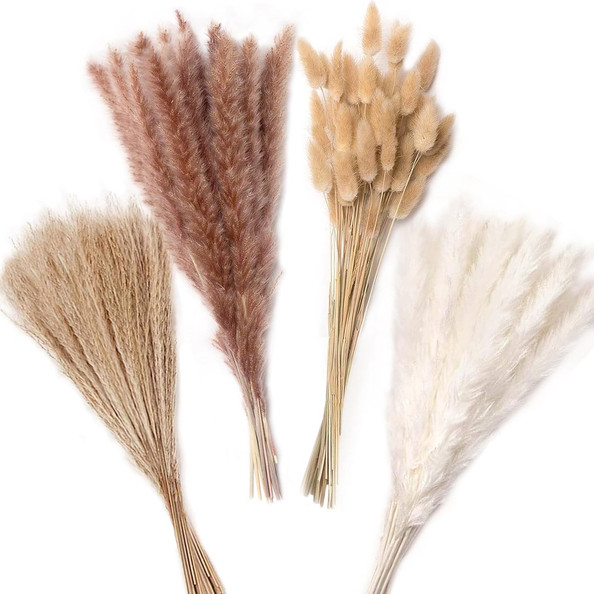 SnelShoppen - Dried Pampas Grass 110 Stuks - Natuurlijke Gedroogde Bloemen, Pampas Grassen, Lagurus Deco voor Boho Woondecoratie, Bruiloft, Vazen en T