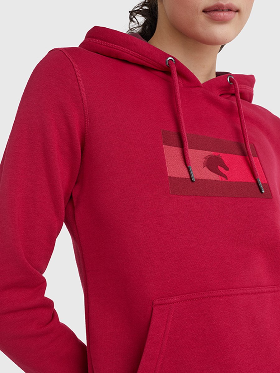 Tommy Hilfiger SS'22 Borduur Logo Hoodie-Bes-BS