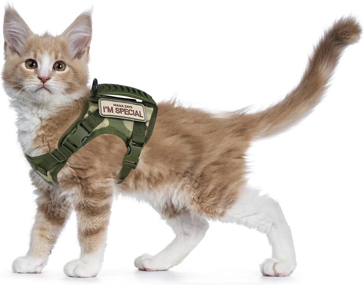 SnelShoppen - Tactical Cat Harness voor Wandelen, Ontsnappingsproof, Verstelbare Zachte Mesh Huisdierharnas voor Grote Katten en Kleine Honden (L, A-G