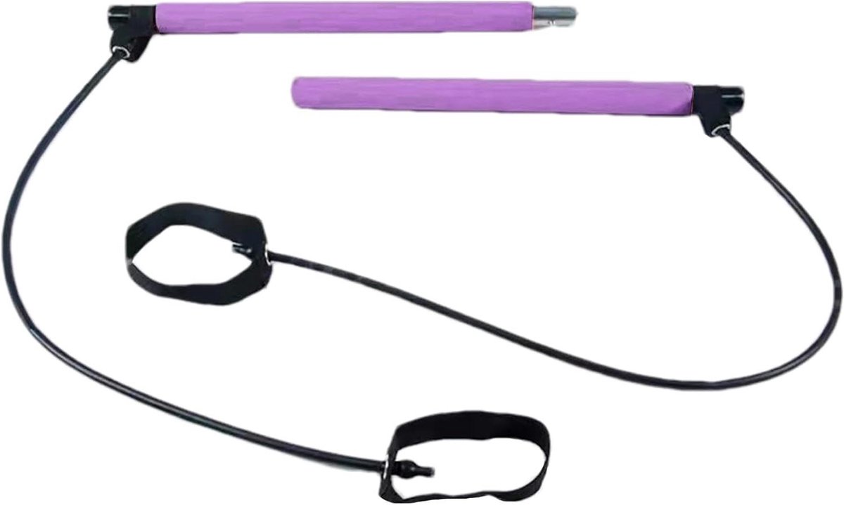 Pilates Bar Kit - Fitness Stang - Thuistraining - Draagbaar Demontage Ontwerp - 496 x 135 x 7 cm - Paars