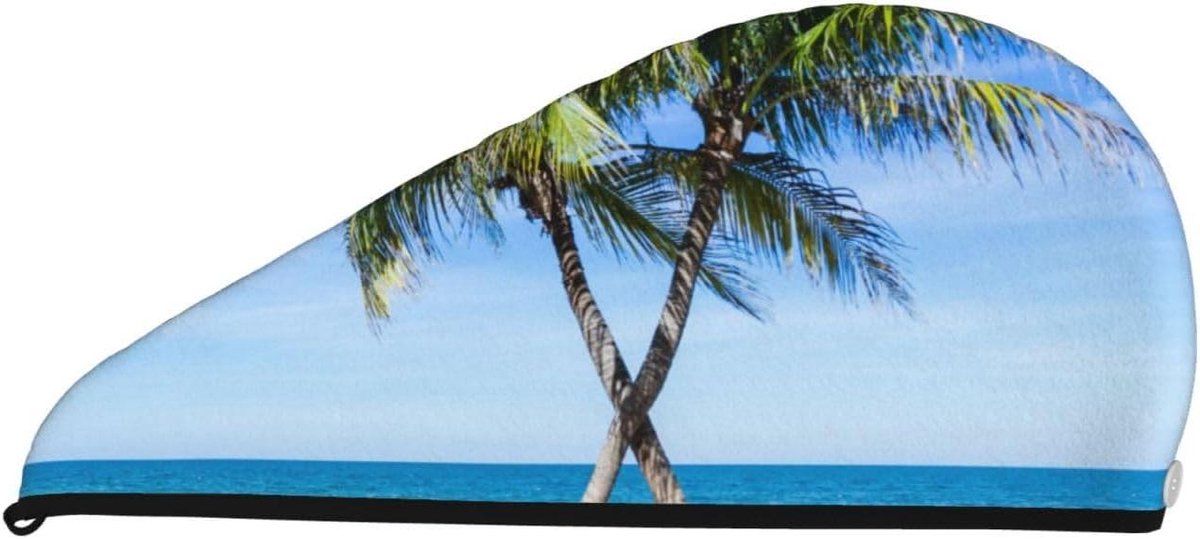 Drogen Haar Cap - Haar Handdoek - Haar Snel Drogen - Absorberend Koraalfluweel - Eén Maat - Zwart