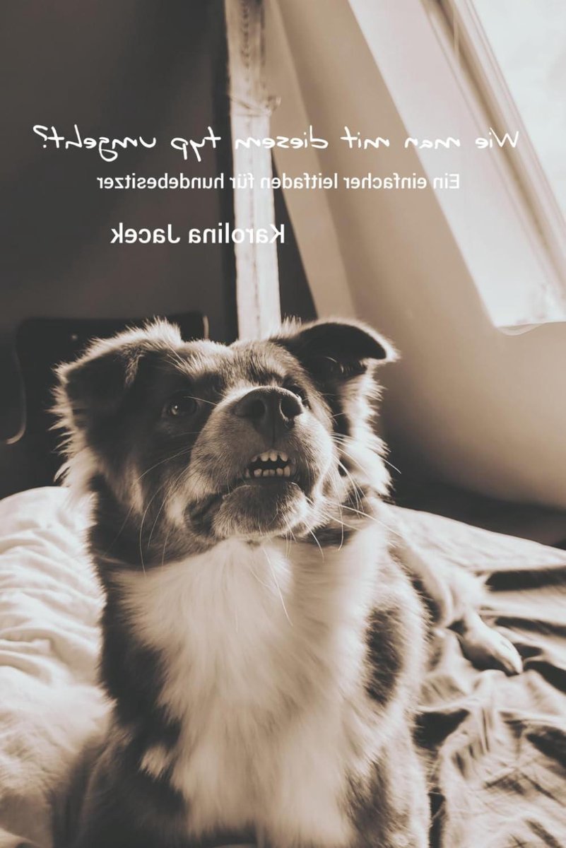 Hondenboek - Gids Hondenbezitters - Gedrag Begrijpen - Ras Eigenschappen - 89 pagina's - Niet gespecificeerd