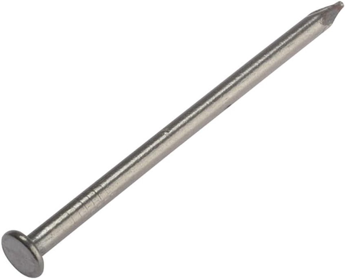 Ronde kop spijkers - Metaal bevestiging - Bouw projecten - Heldere afwerking - 100 mm - Zilverkleurig