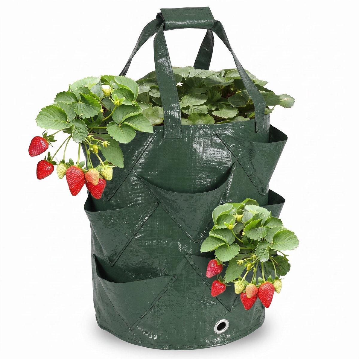 Cheqo® Kweekzakken Set van 3 - Plantenzakken - Aardbeienzak - Growbags - Groeizak - Plantzak - Hangende Plantenzak - Moestuinzak - voor Aardbeien - Tomaten - Kruiden en Groenten - voor Balkon en Terras - Verticaal Tuinieren - met Handvatten