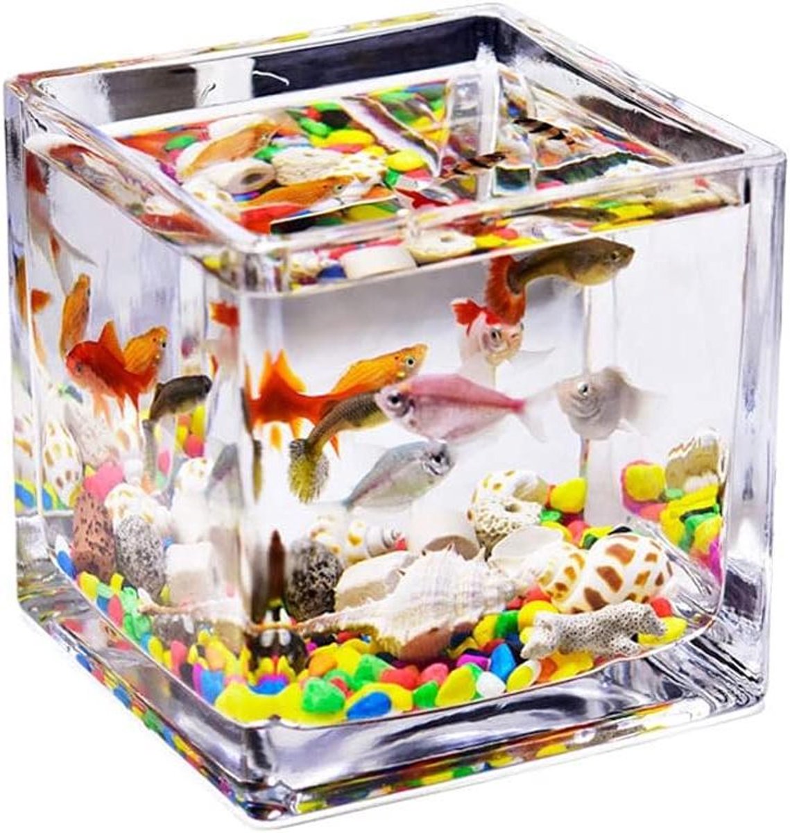 Glazen Vissenkom - Aquarium Kom - Vissen Houden - Vierkant Transparant - 3.94 inch - Transparant