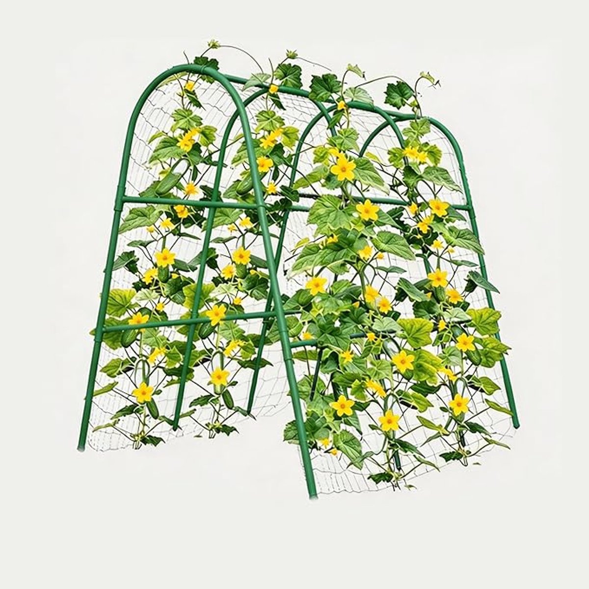 HOERFURIY U-vormig klimrek PE+metaal met kruisclips, 7 horizontale buizen, afmeting 120×120×30 cm – steun voor komkommers, tomaten en erwten