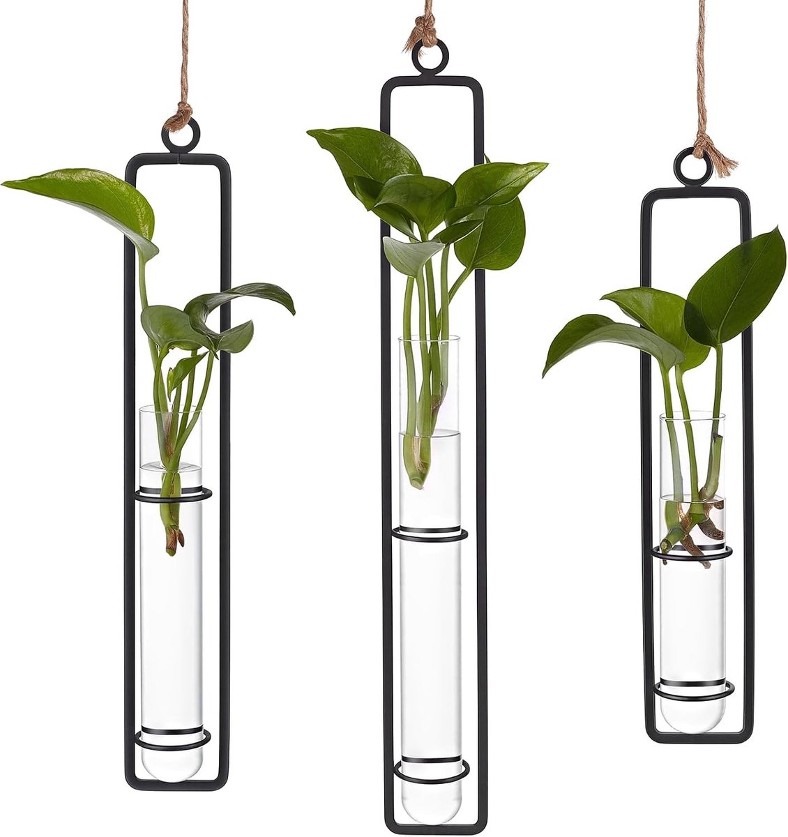 Set van 5 hangende kweekstations van glas, reageerbuisvormige plantenvazen met ijzeren frame voor hydrocultuur en wanddecoratie