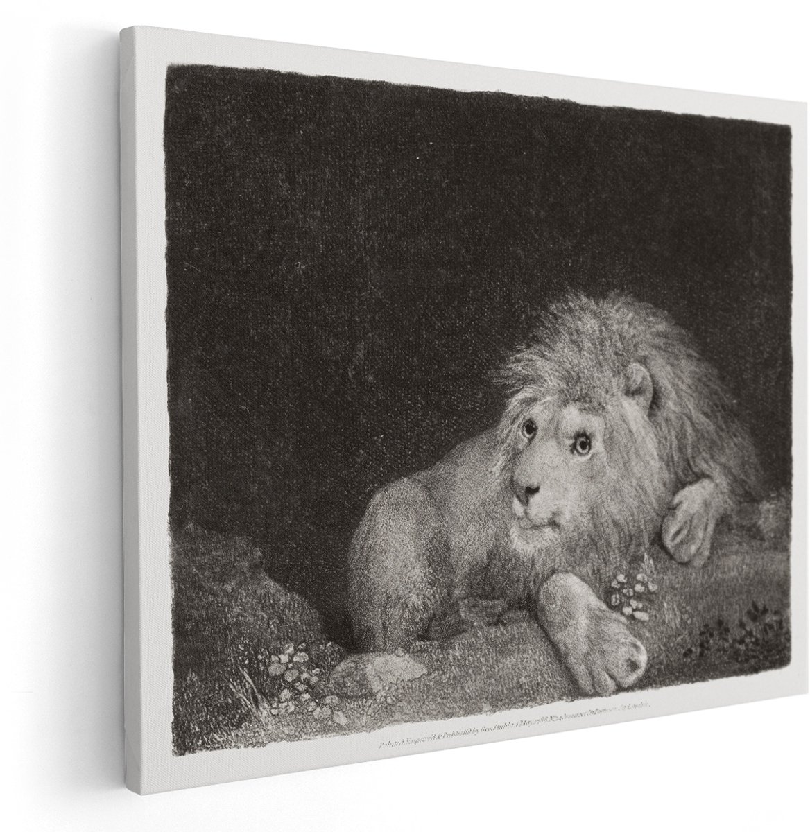 Artaza Canvas Schilderij Leeuw - 150x120 cm - Groot - Wanddecoratie Dieren - Muurdecoratie Zwart Wit - Vintage Schilderij George Stubbs - Decoratie Woonkamer