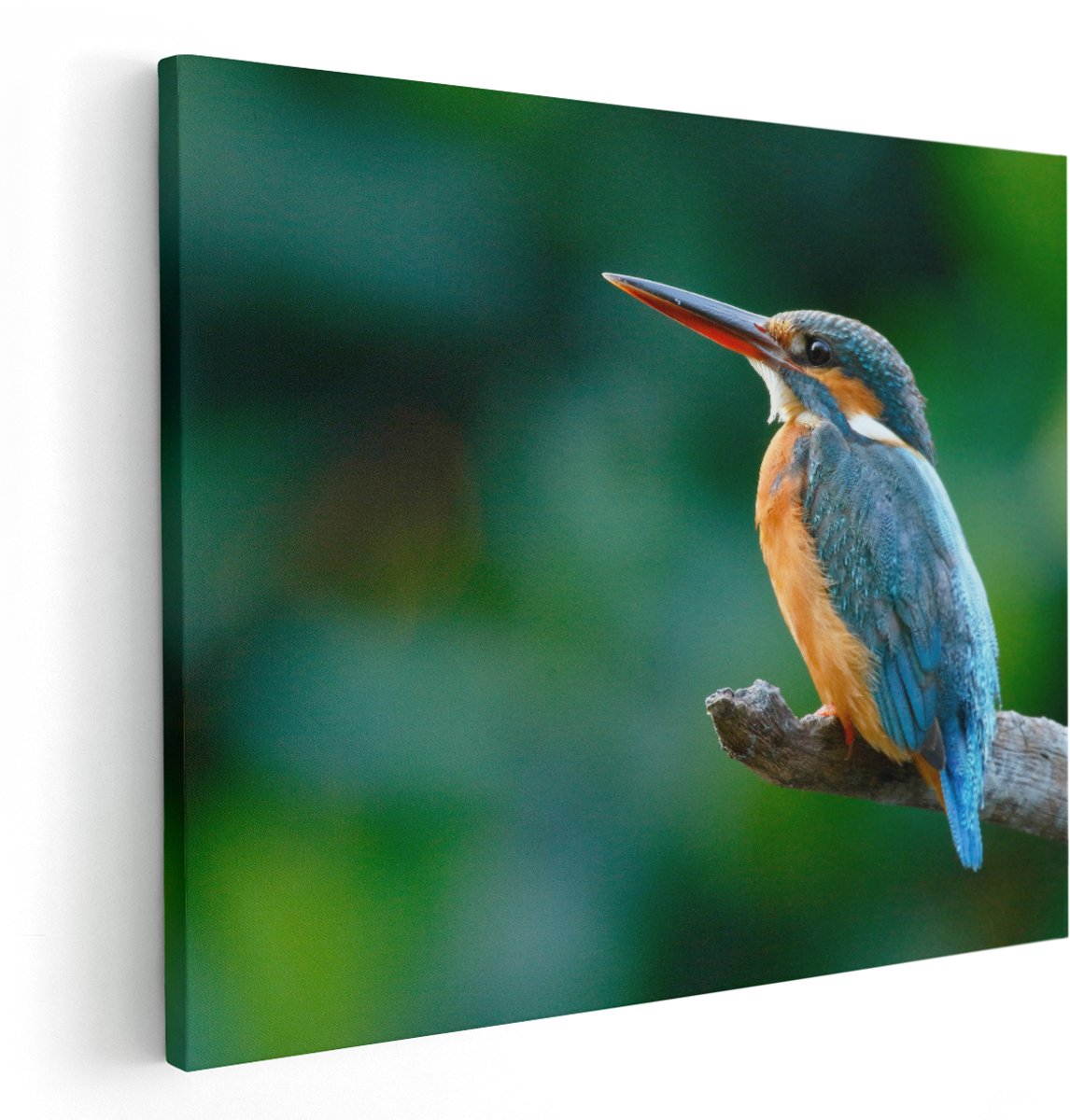 Artaza Canvas Schilderij Blauw Oranje IJsvogel Op Een Tak - 150x120 cm - Groot - Wanddecoratie Woonkamer - Schilderijen - Muurdecoratie