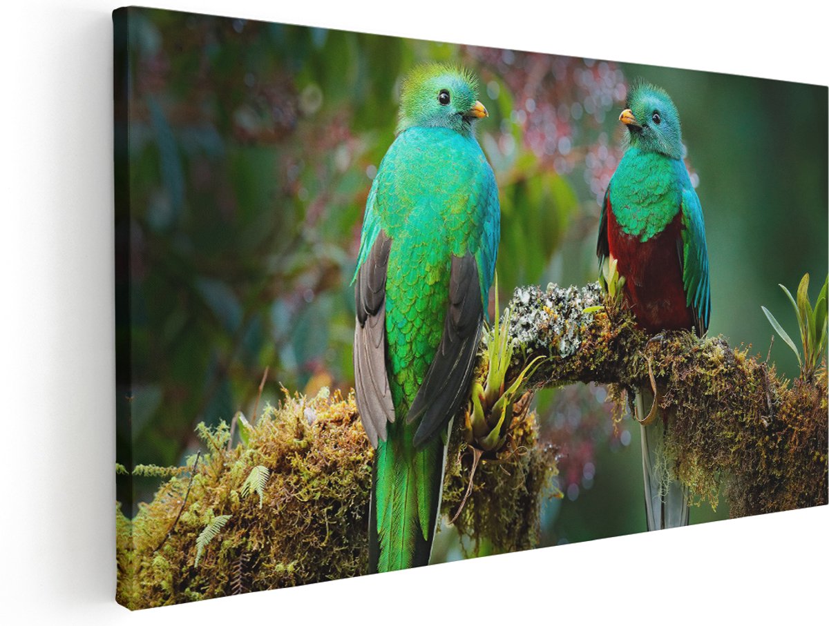 Artaza Canvas Schilderij Twee Groene Quetzal Vogels Op Een Tak - 160x80 cm - Groot - Wanddecoratie Woonkamer - Schilderijen - Muurdecoratie