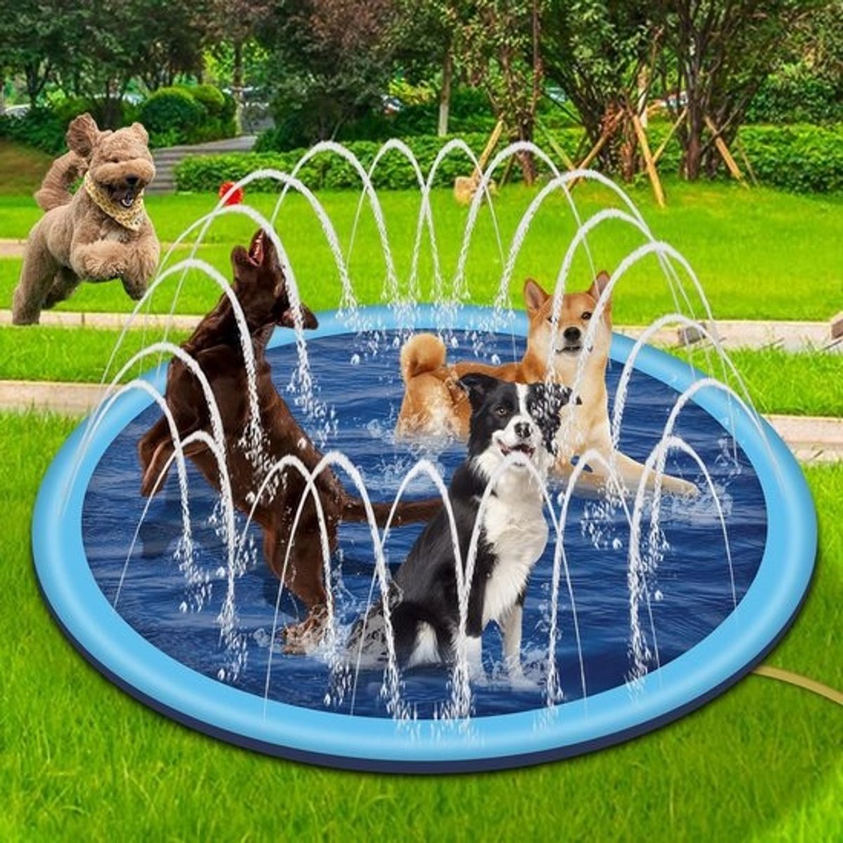 Groot Hondenzwembad met Sprinkler voor Dieren en Kinderen – Opvouwbaar en Antislip Design