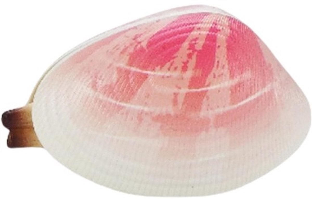 Buitenwaterspeelgoed - Kinder sprinkler - Interactief buiten spelen - Niet snel beschadigd - 6 x 4 x 4 cm
