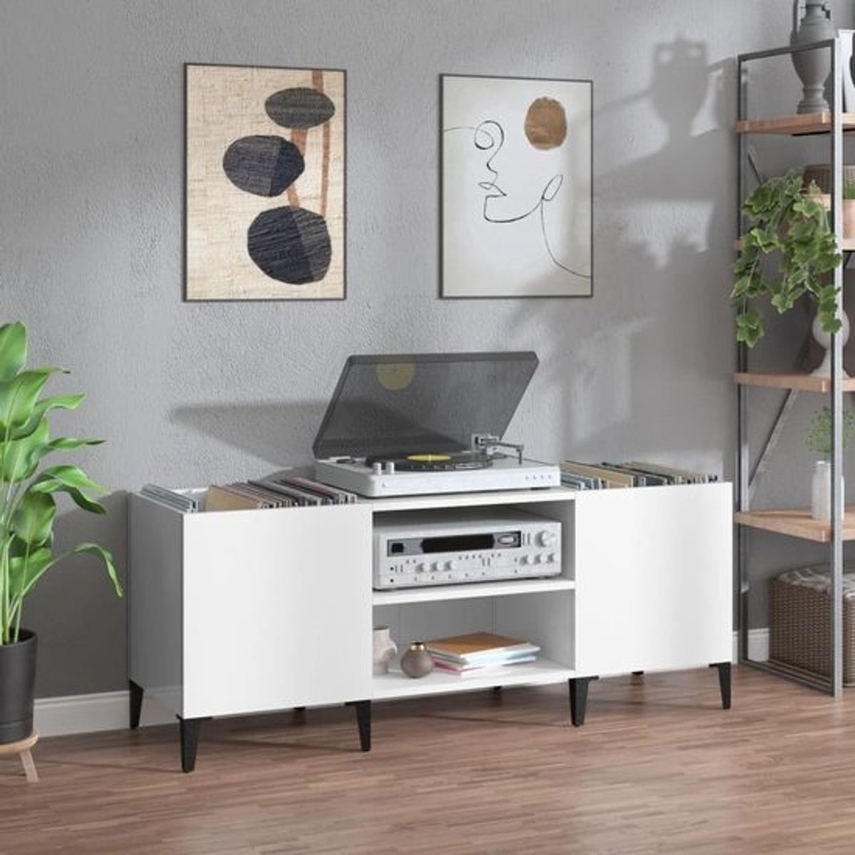 CD Kast Vinylkast - Platenkast Opberger - Muziek Collectie Organiseren - Grote Opbergruimte - 121 x 38 x 48 cm