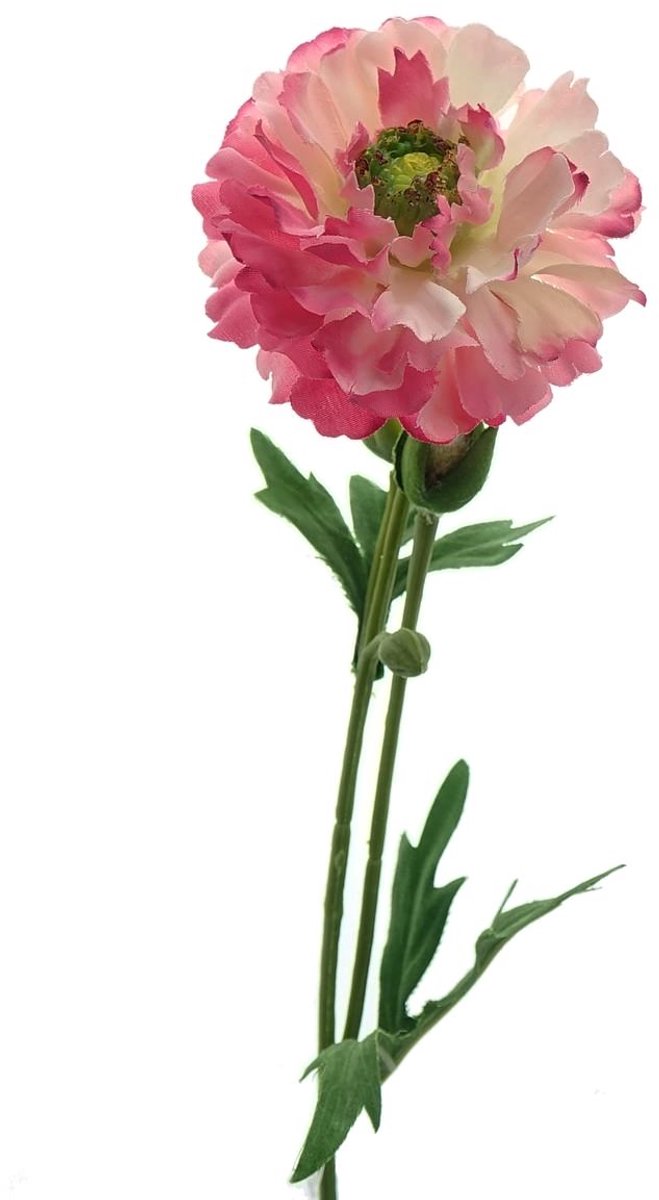 DPI Ranonkel Roze met Drie Knoppen 58 cm - Kunstbloemen