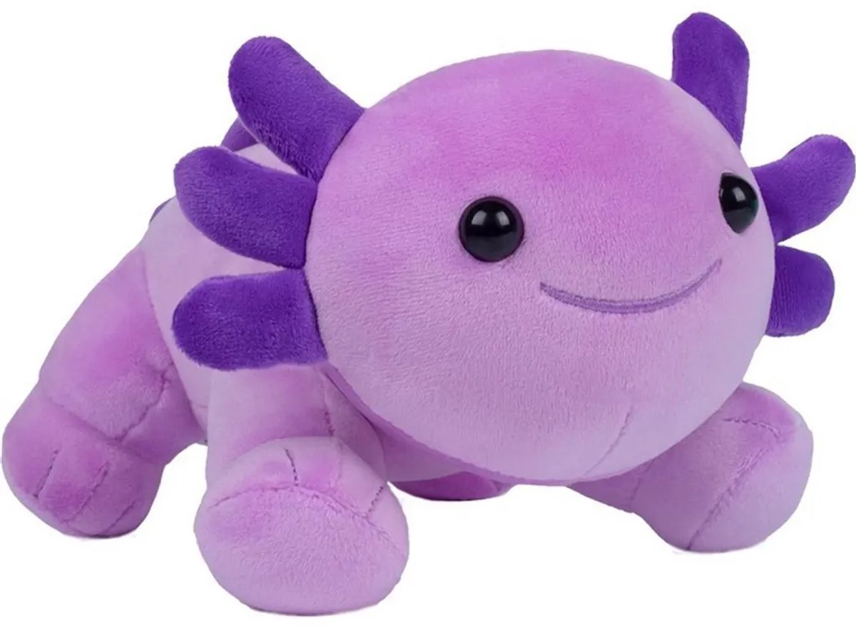 Casalora Pluche Knuffel – Schattige Salamander Knuffelr – Perfect Cadeau – 27cm – Paars