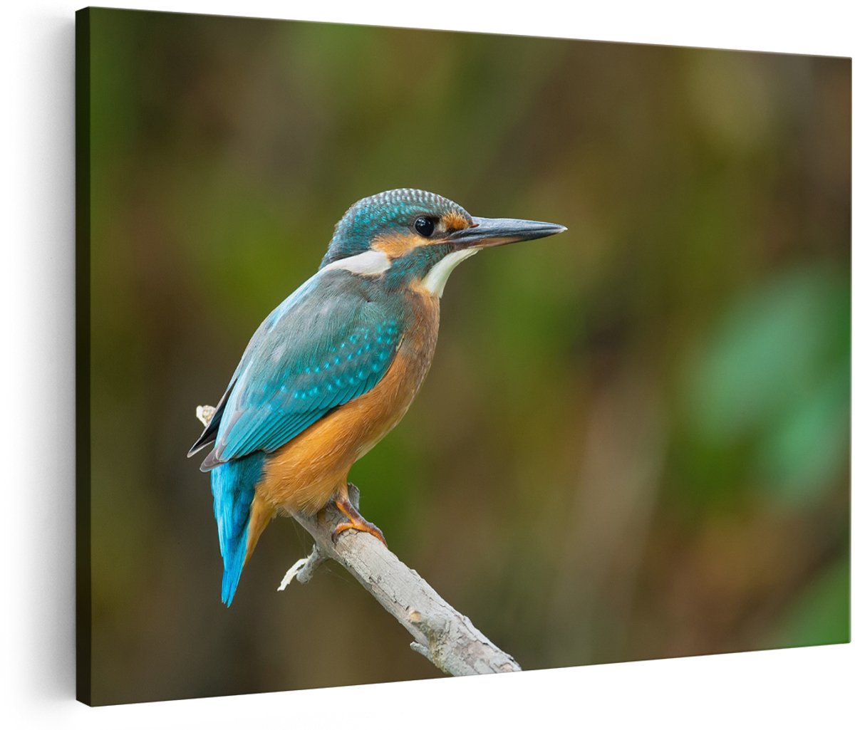 Artaza Canvas Schilderij Blauwe IJsvogel Op Een Tak - 180x120 cm - Groot - Foto Op Canvas - Wanddecoratie Woonkamer