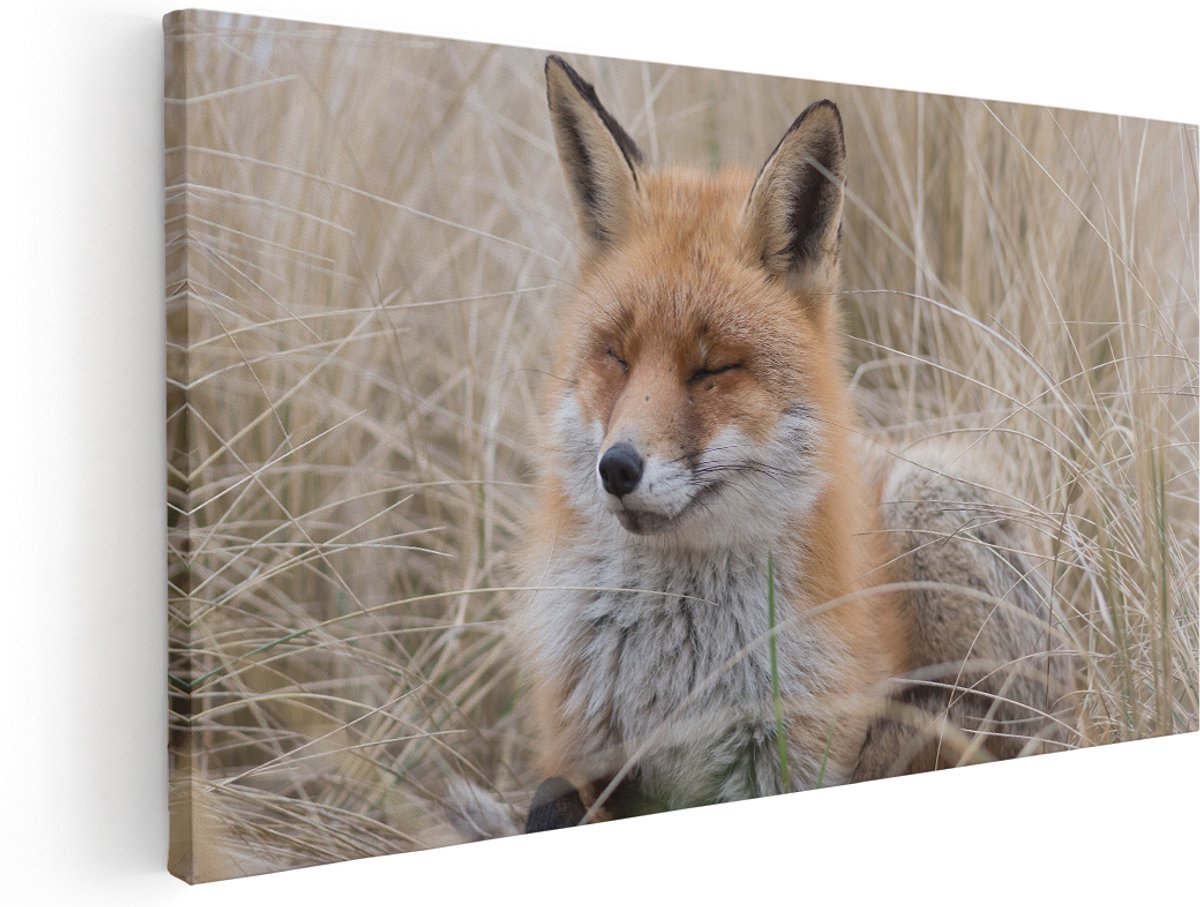 Artaza Canvas Schilderij Vos in de Duinen - 180x90 cm - Groot - Wanddecoratie Woonkamer - Schilderijen - Muurdecoratie