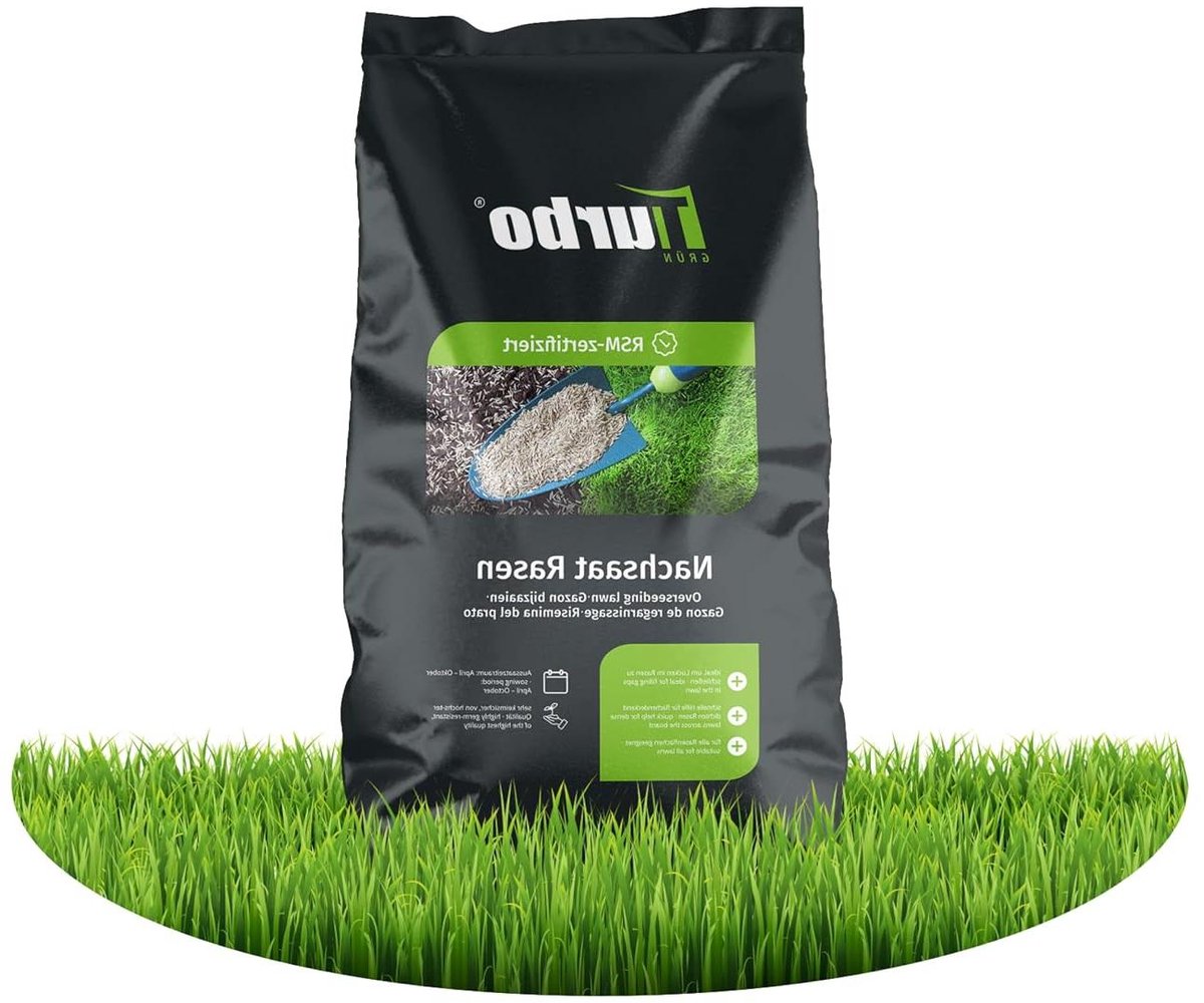 Graszaad - Doorzaai zaad - Gazon herstellen - Snel ontkiemend - 1kg 50m² - Groen