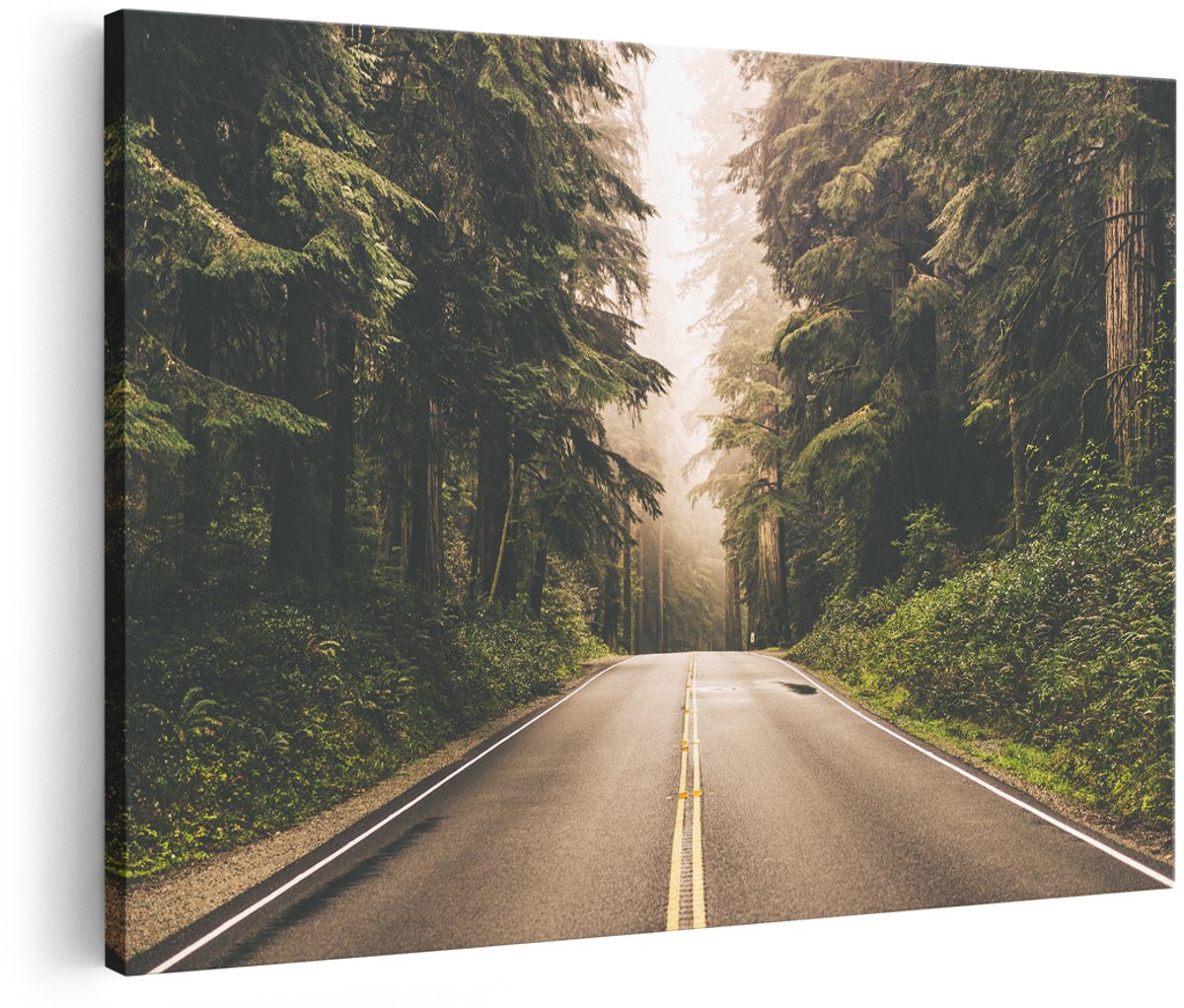 Artaza Canvas Schilderij Highway In Californië Omring Met Bos - 150x100 cm - Groot - Foto Op Canvas - Wanddecoratie Woonkamer