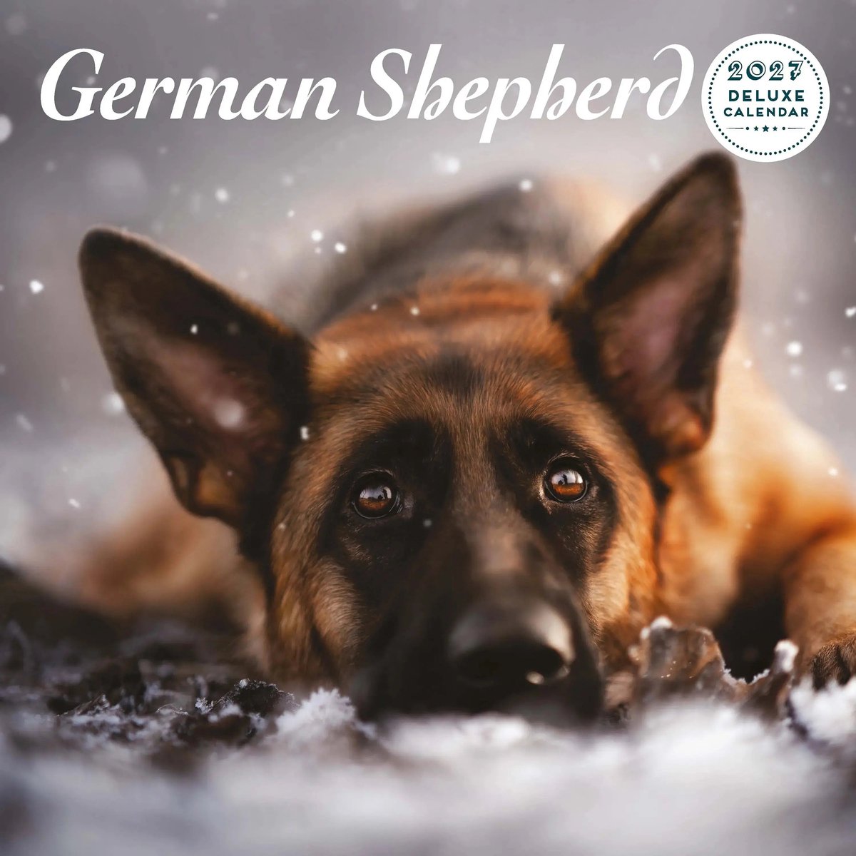 Duitse Herder Kalender 2027 Deluxe