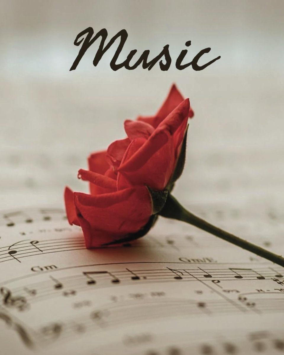 Sheet Music Notebook - 50 Pages Blank Sheet Music Notepad: My Little Music Notebook - ShopVlot
