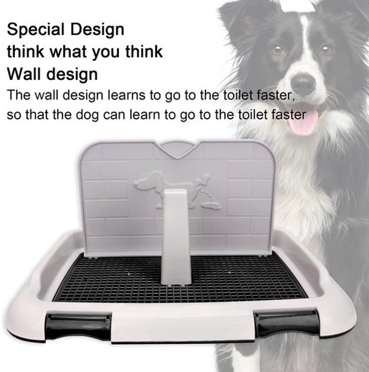 Dailygoody - Indoor Hondenbak - Hondentoilet - Geplande Urineren