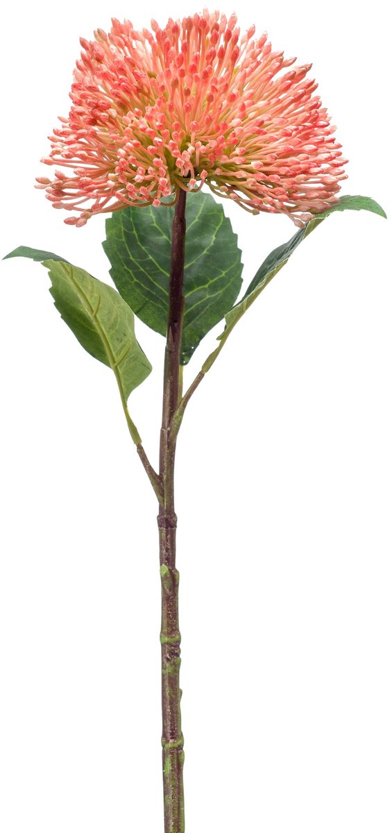 Emerald Kunstbloem Vetkruid 43cm peach - Kunstplant voor binnen