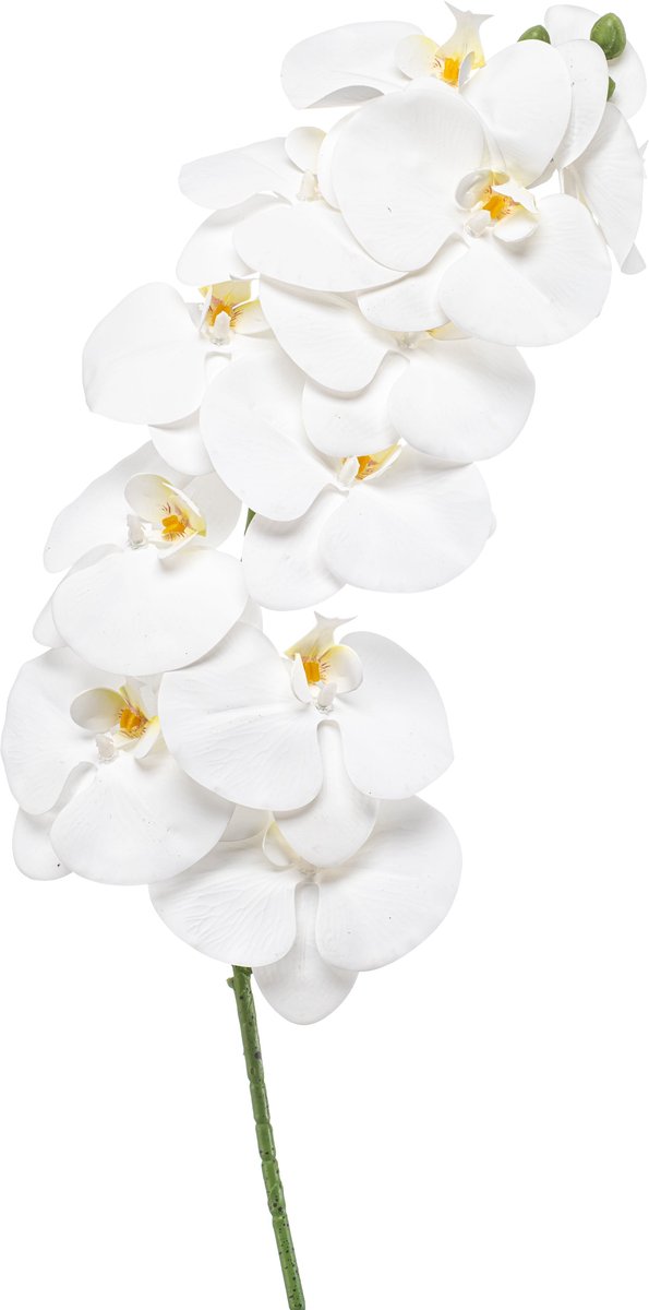 Emerald Kunstbloem Phalaenopsis wit 100cm - Kunstplant voor binnen