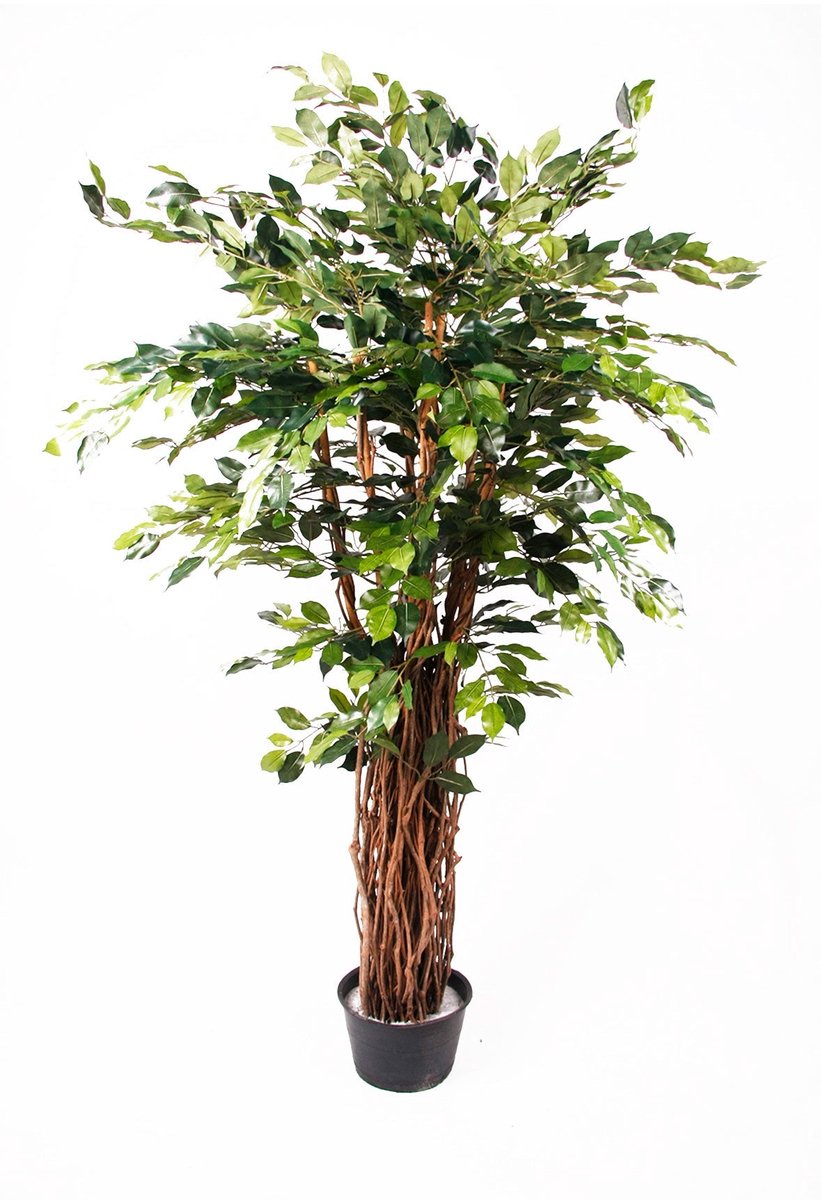 Emerald Kunstplant Ficus Benjamina Liana Deluxe 175cm - Kunstplant voor binnen Groen
