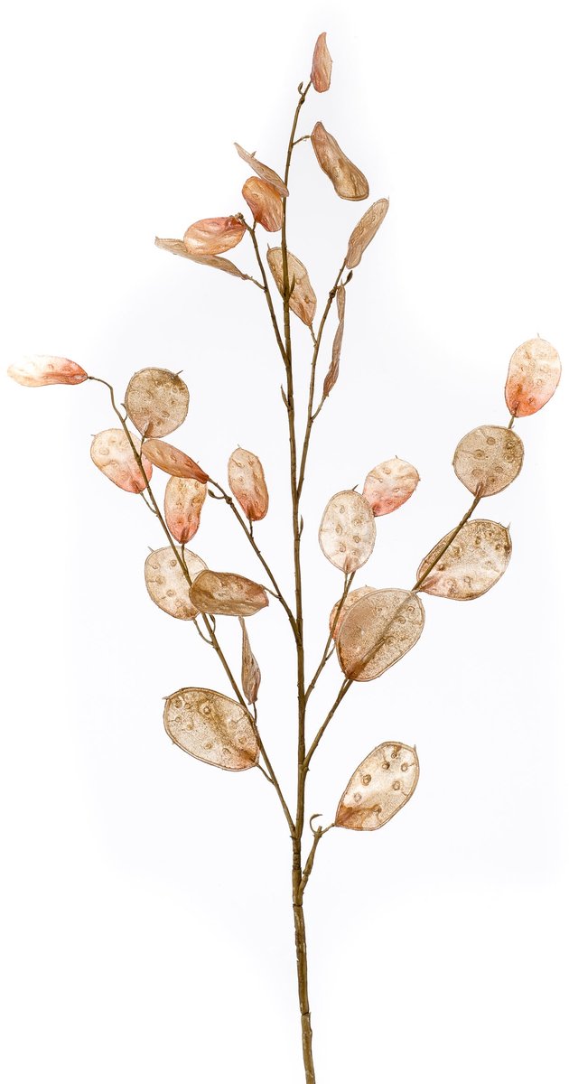 Emerald Kunstbloem Judaspenning 105cm bruin - Kunstplant voor binnen