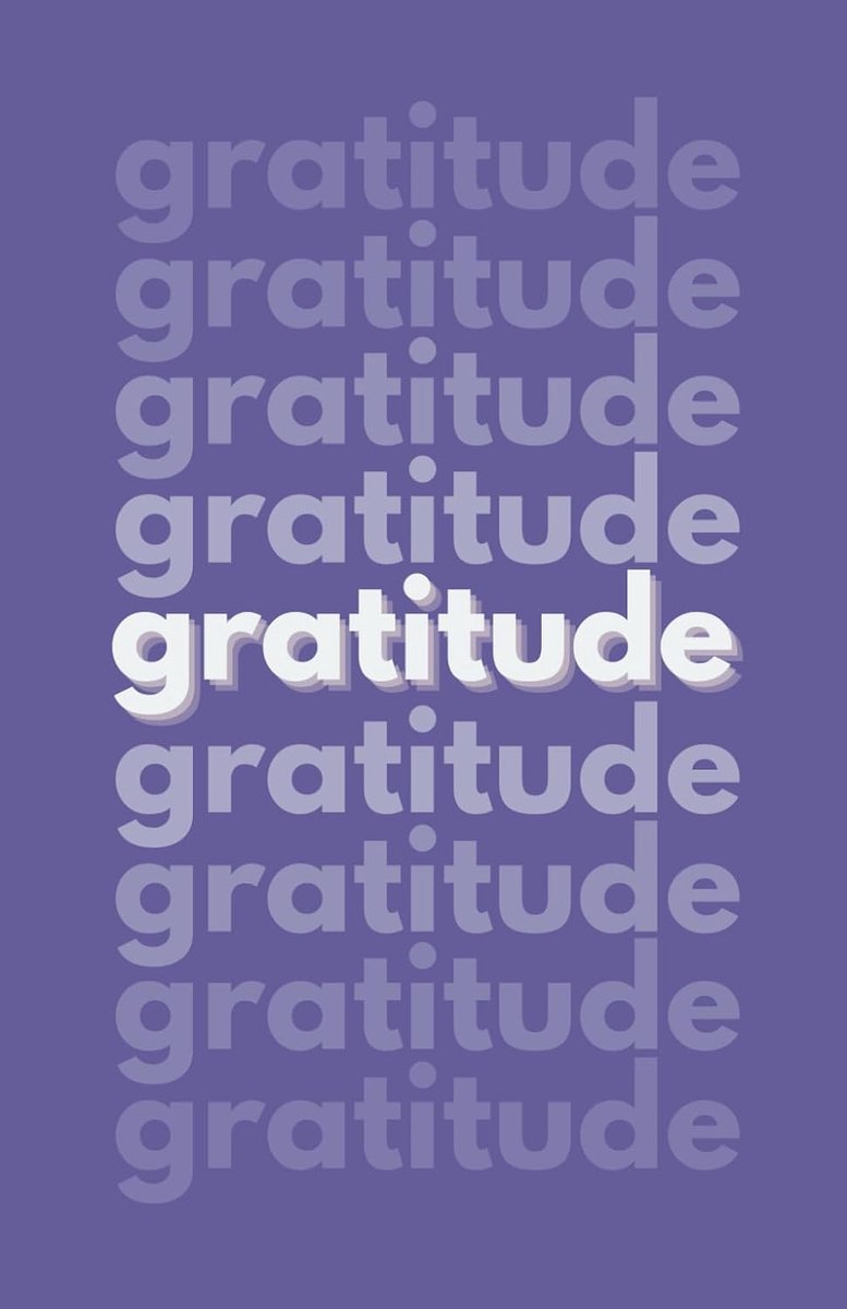 SnelShoppen - Gratitude Journal - Dagelijkse Gids voor Geluk, Positiviteit en Affirmaties - Handzaam Notitieboek voor een Positieve en Dankbare Mindse