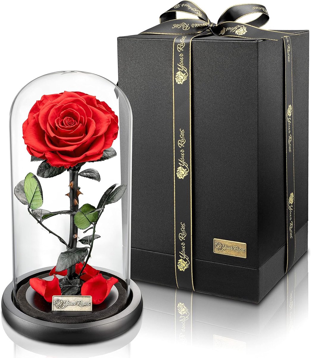 SnelShoppen - Premium Roos in Glas met Luxe Geschenkdoos, Lange Houdbaarheid, Perfect Cadeau voor Verjaardag, Valentijn, Jubileum, Bewijs van Liefde